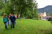 Familienwanderung Hacklberg